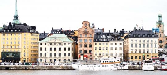 Cesine Actualidad/ News - Maria Aguado